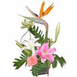 ƽʻٵ