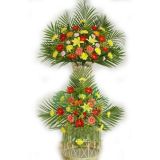 ƽʻٵ